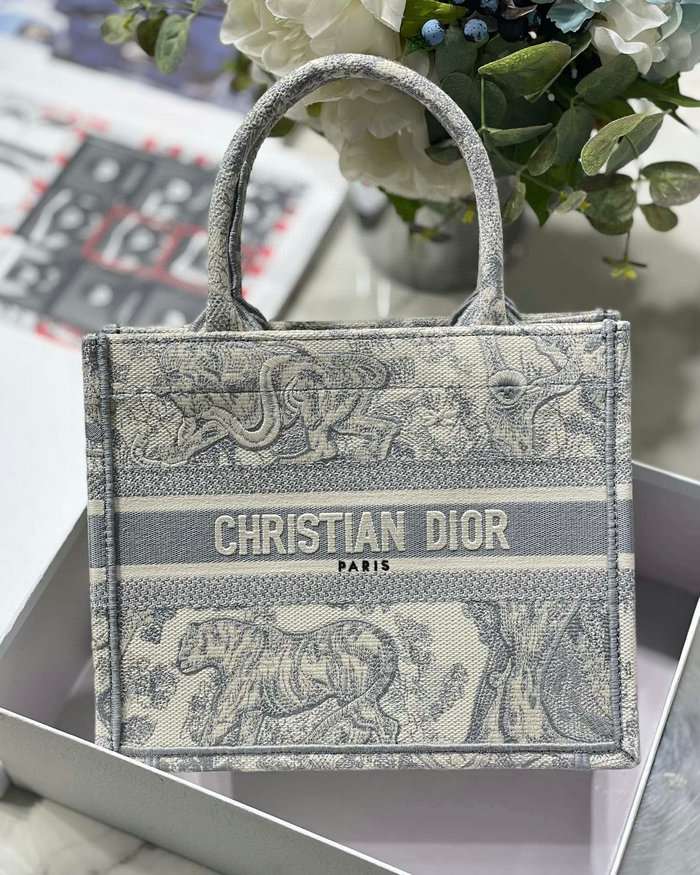 Small Dior Book Tote MS12867