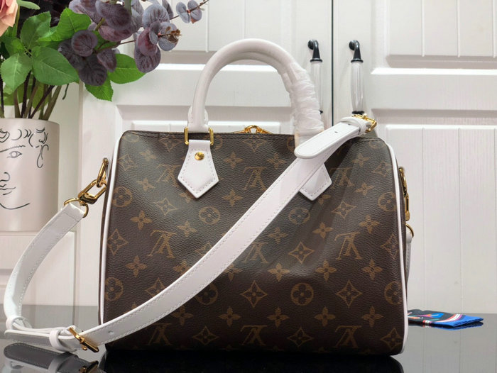 Louis Vuitton Speedy Bandouliere 25 M20754