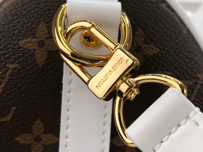 Louis Vuitton Speedy Bandouliere 25 M20754