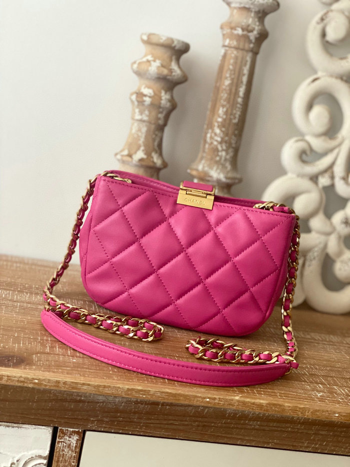 Chanel SMALL HOBO BAG Pink AS3475