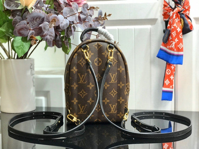 Louis Vuitton PALM SPRINGS MINI M41562