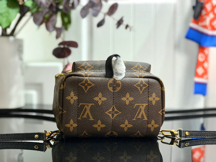 Louis Vuitton PALM SPRINGS MINI M41562