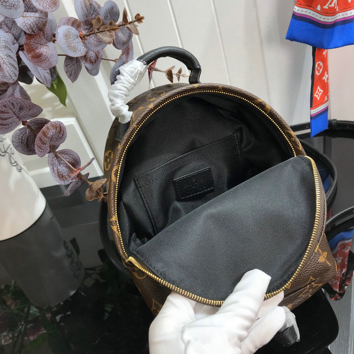 Louis Vuitton PALM SPRINGS MINI M41562