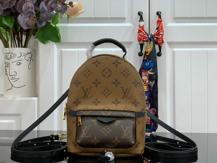 Louis Vuitton PALM SPRINGS MINI M44873