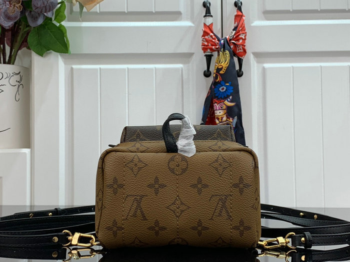 Louis Vuitton PALM SPRINGS MINI M44873