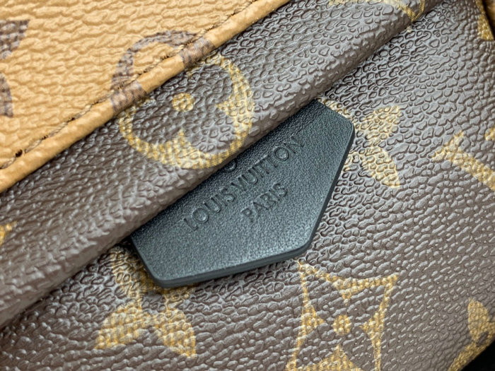 Louis Vuitton PALM SPRINGS MINI M44873