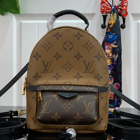 Louis Vuitton PALM SPRINGS MINI M44873