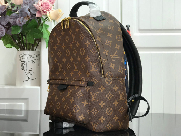 Louis Vuitton PALM SPRINGS MM M44874