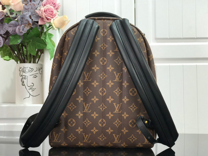 Louis Vuitton PALM SPRINGS MM M44874