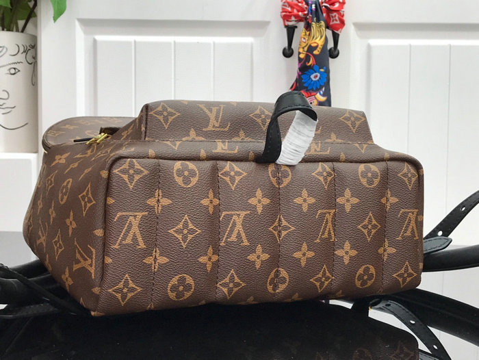 Louis Vuitton PALM SPRINGS MM M44874