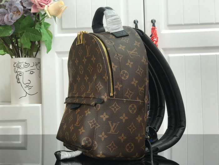 Louis Vuitton PALM SPRINGS PM M44871