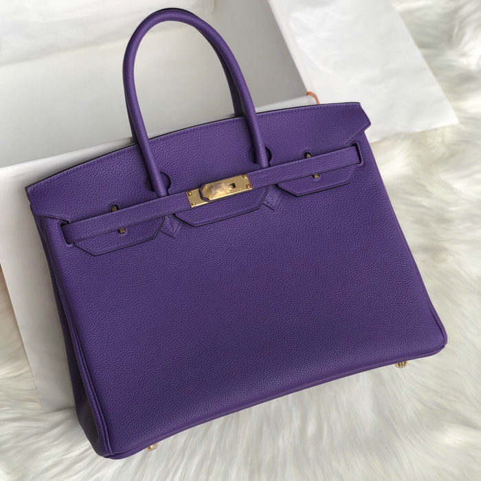 Hermes Togo Leather Birkin Bag Crocue HB253001