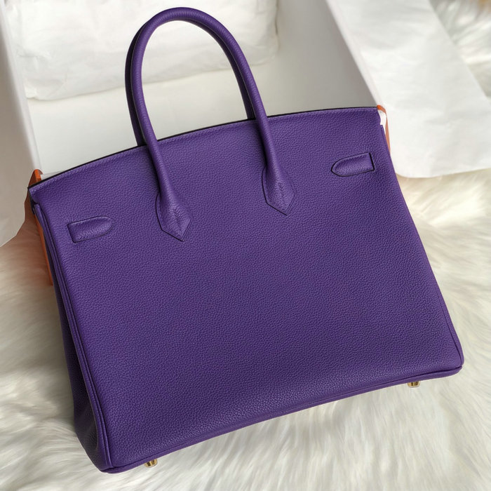 Hermes Togo Leather Birkin Bag Crocue HB253001