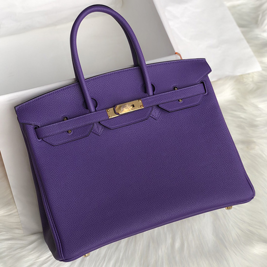 Hermes Togo Leather Birkin Bag Crocue HB253001