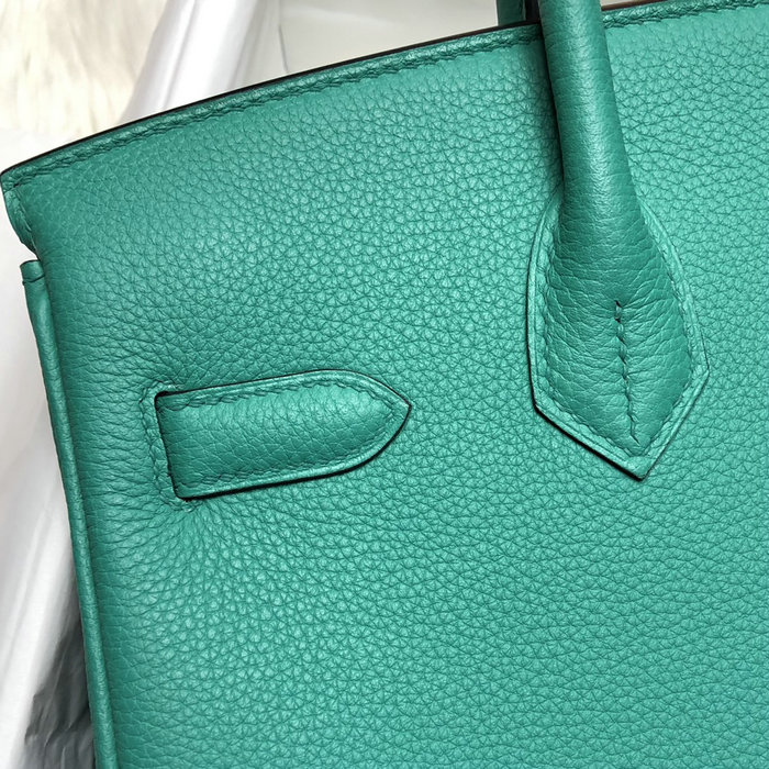 Hermes Togo Leather Birkin Bag Rowena Green HB253001