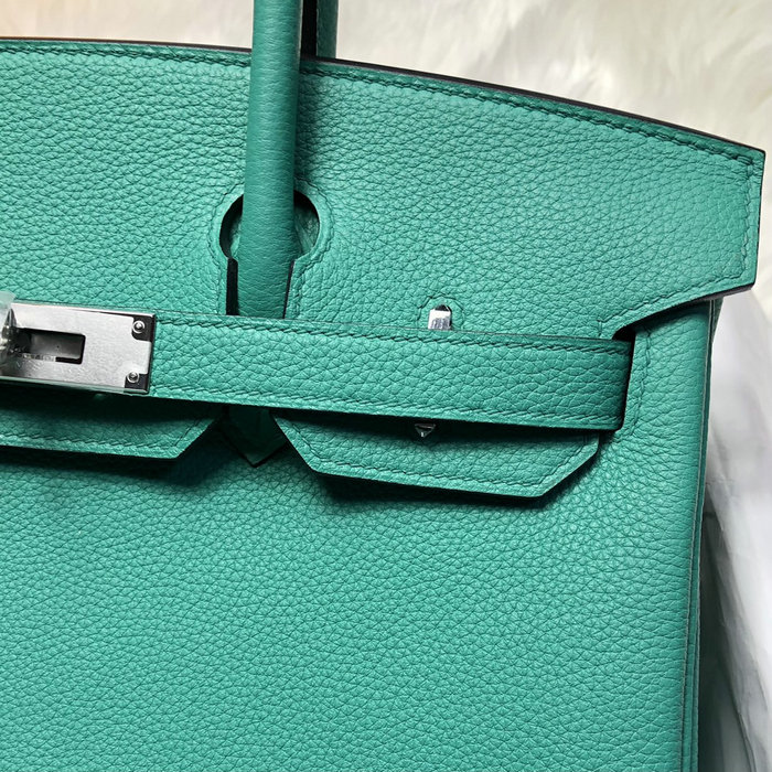 Hermes Togo Leather Birkin Bag Rowena Green HB253001