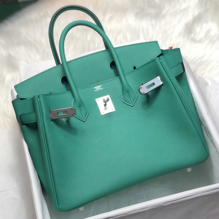 Hermes Togo Leather Birkin Bag Rowena Green HB253001