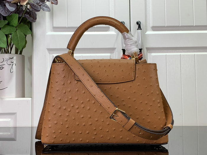 Louis Vuitton Embossed Ostrich Capucines Brown N93419