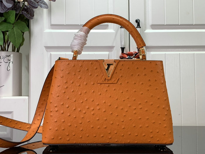 Louis Vuitton Embossed Ostrich Capucines Orange N93419