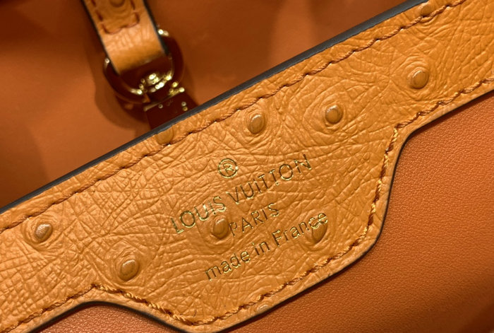 Louis Vuitton Embossed Ostrich Capucines Orange N93419