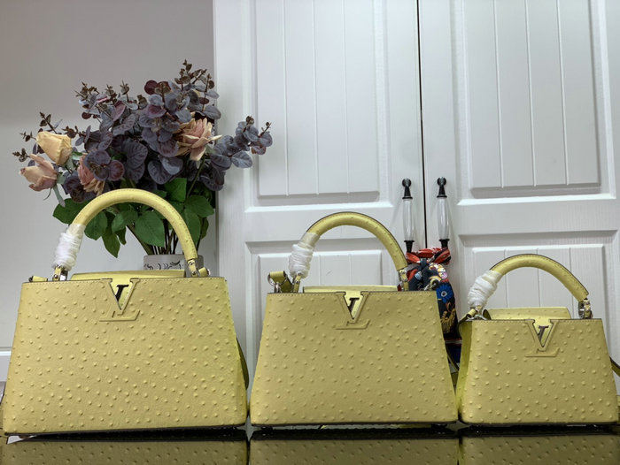 Louis Vuitton Embossed Ostrich Capucines Yellow N93419