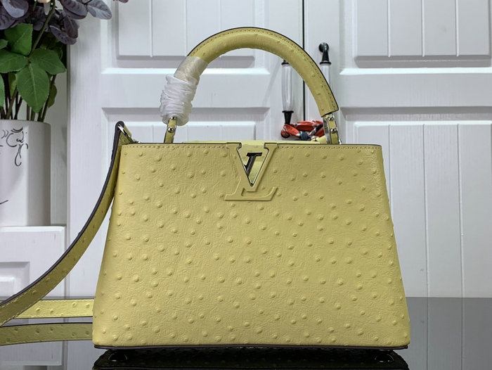 Louis Vuitton Embossed Ostrich Capucines Yellow N93419