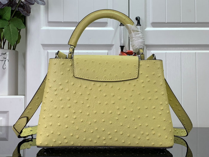 Louis Vuitton Embossed Ostrich Capucines Yellow N93419