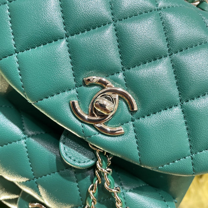 Chanel Small Duma Drawstring Backpack Green AS2908