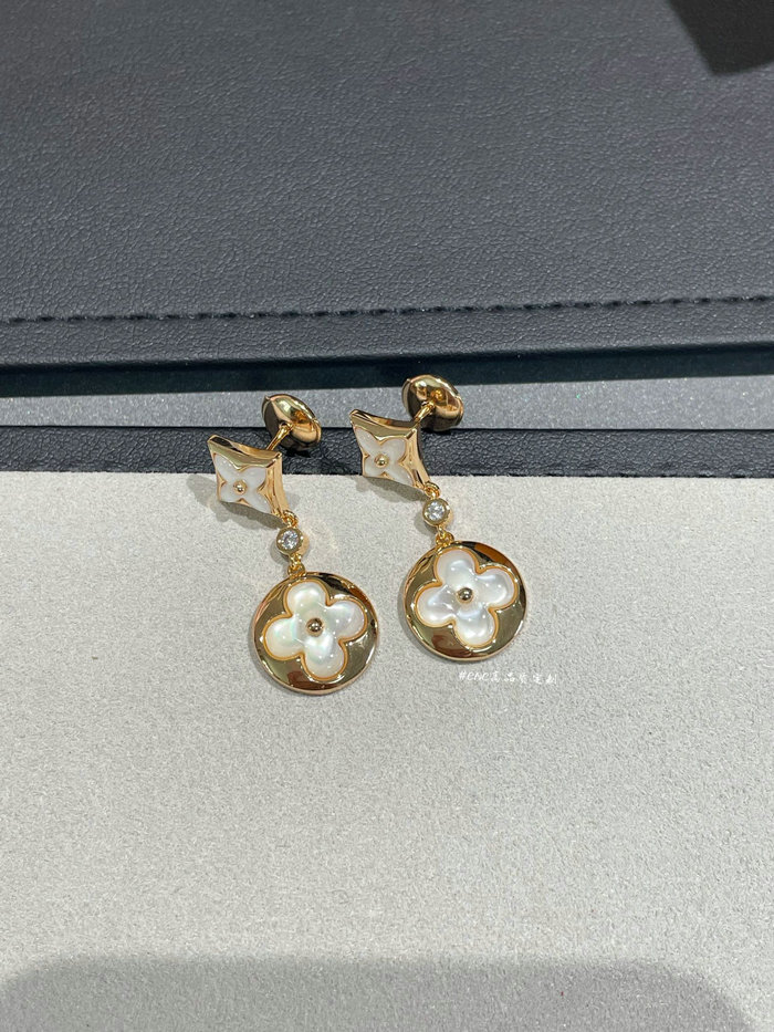 Louis Vuitton Earrings LE02