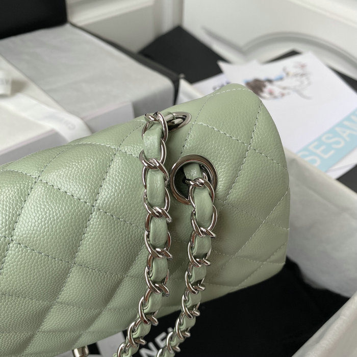 Classic Chanel Medium Flap Bag Green with Silver CF1112