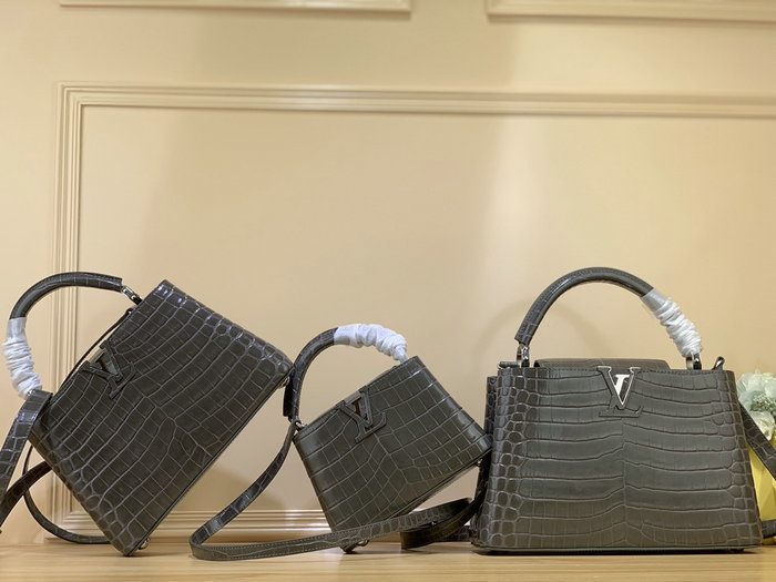 Louis Vuitton Embossed Crocodile Capucines Grey N92175