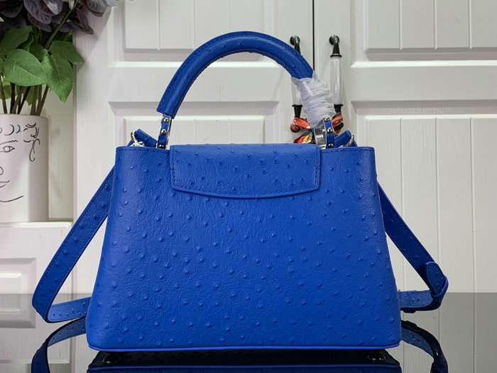 Louis Vuitton Embossed Ostrich Capucines Blue N93419