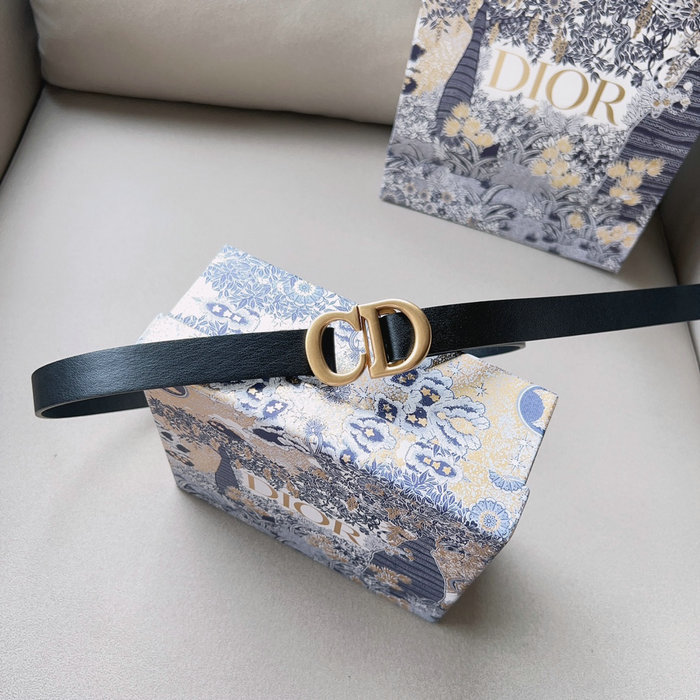 Dior Belt DB04