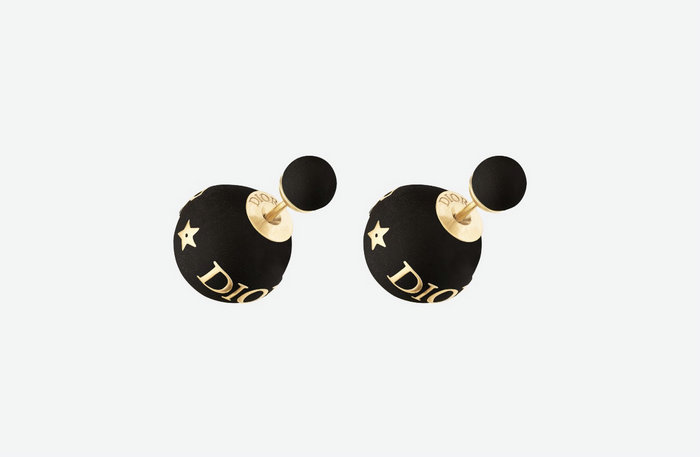 Dior Earrings DE10