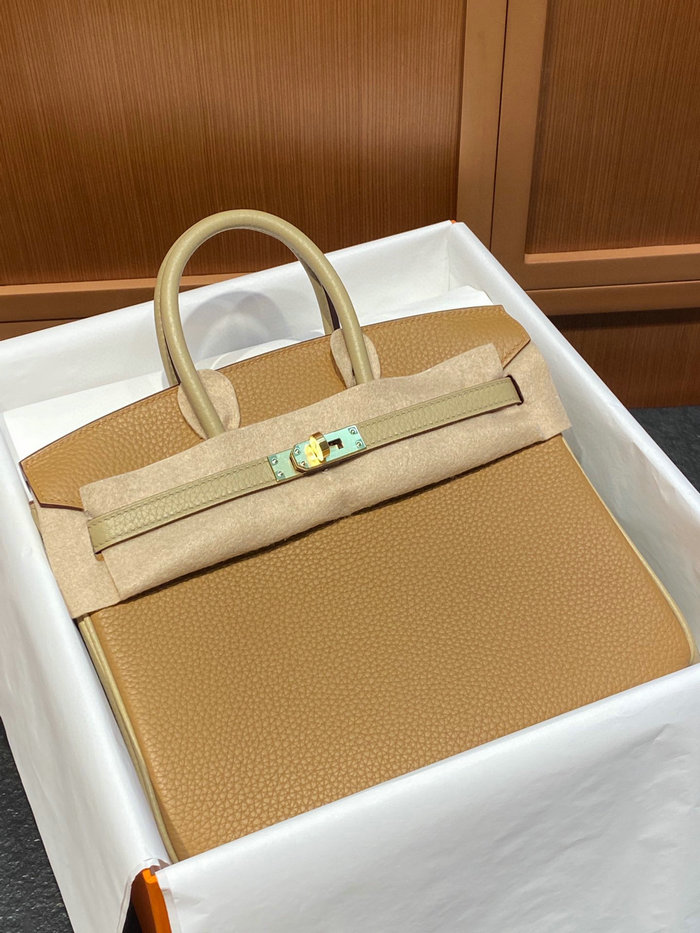 Hermes Togo Leather Birkin 25 Bag BK030101