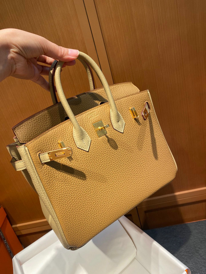 Hermes Togo Leather Birkin 25 Bag BK030101