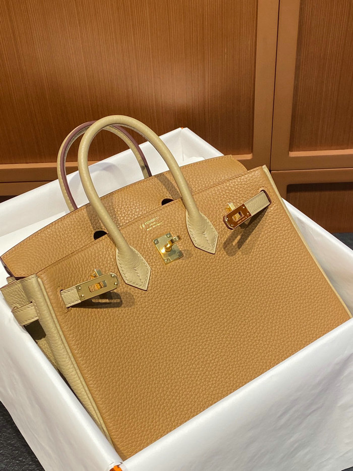 Hermes Togo Leather Birkin 25 Bag BK030101