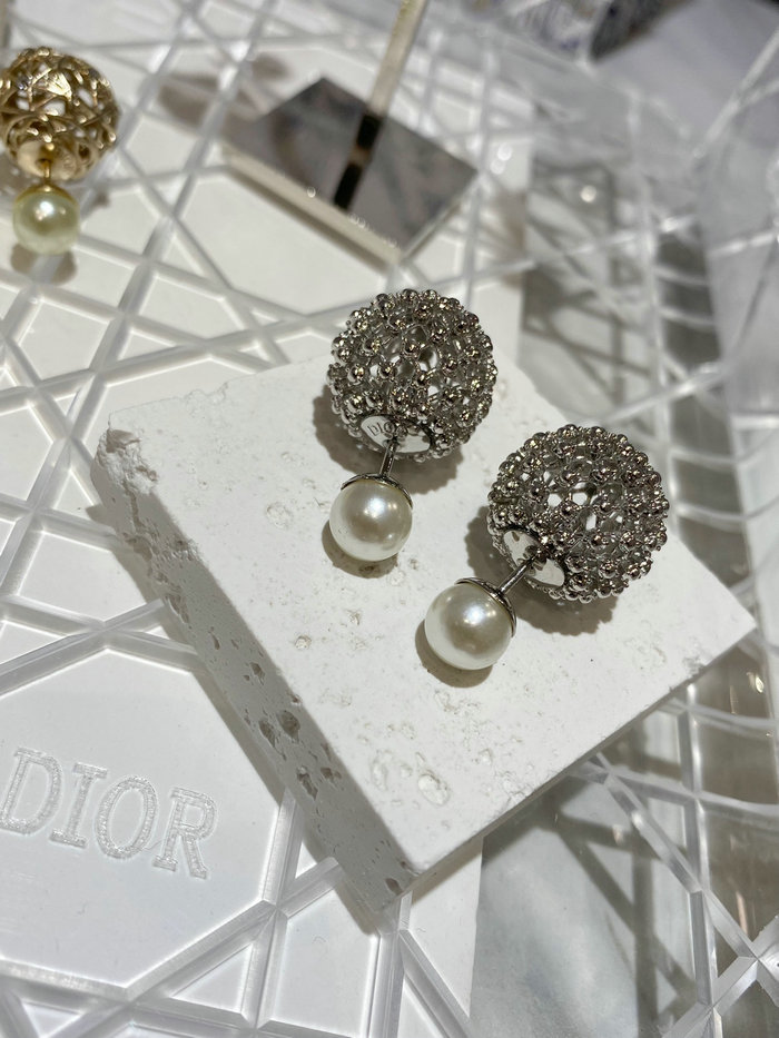 Dior Earrings DE14