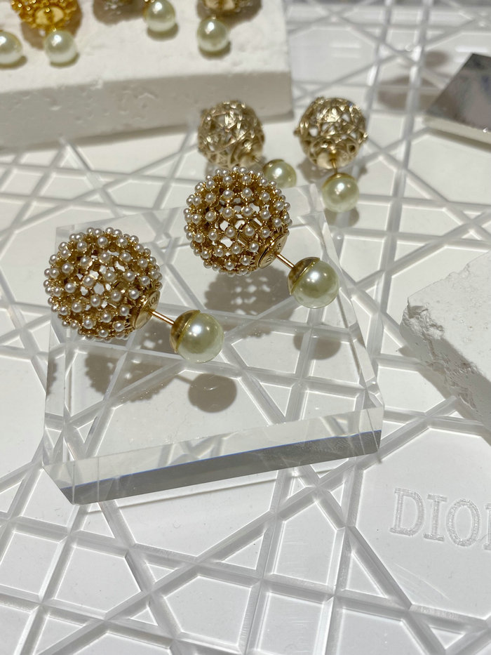 Dior Earrings DE14