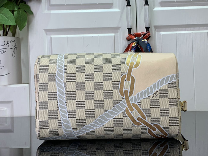 Louis Vuitton Speedy Bandouliere 25 N40473