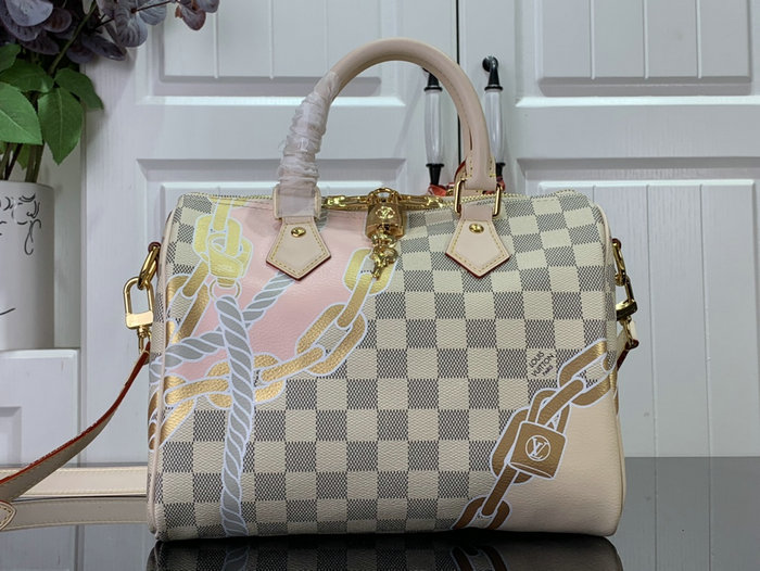 Louis Vuitton Speedy Bandouliere 25 N40473