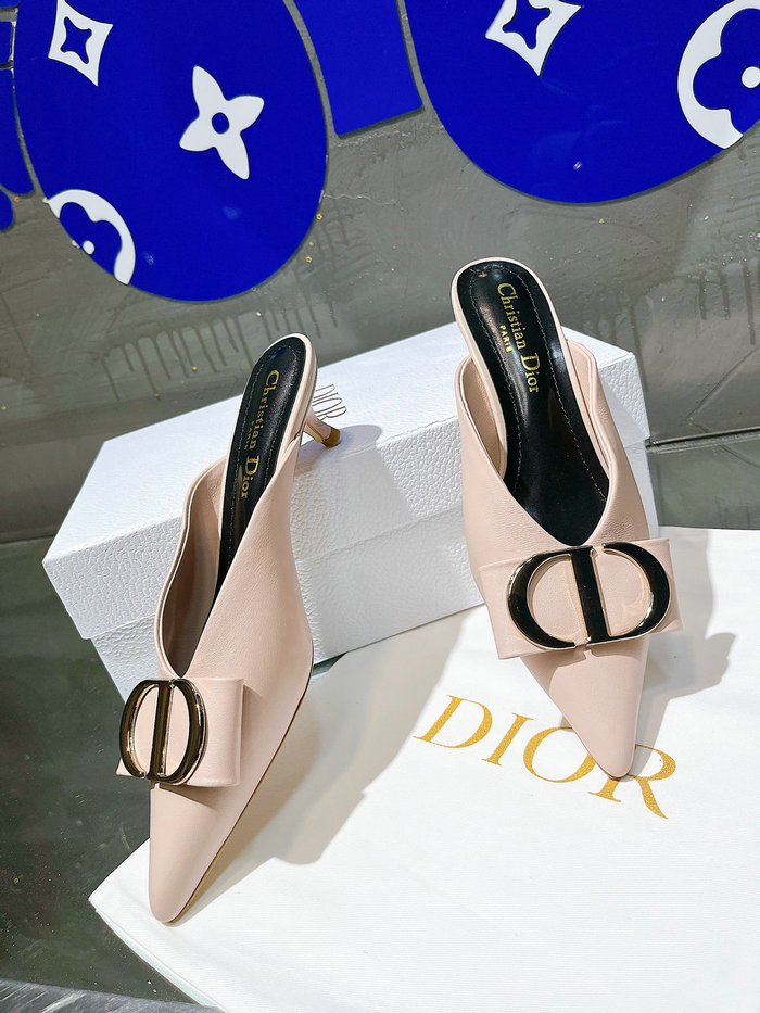 Dior Mules DS03261