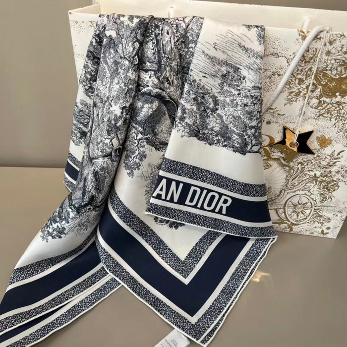 Dior Silk Scarf DS2306