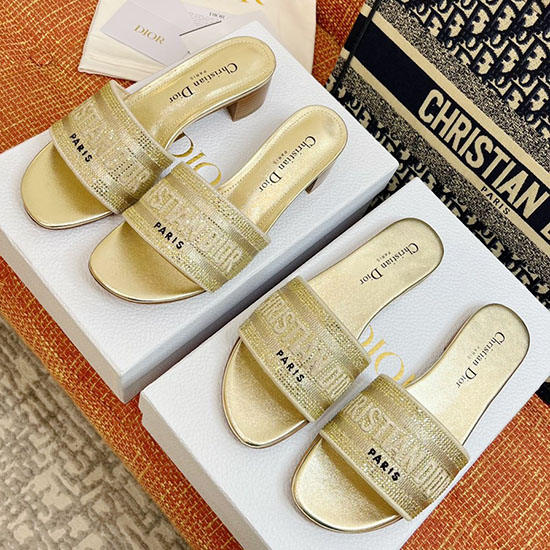 Dior Sandals DS04066