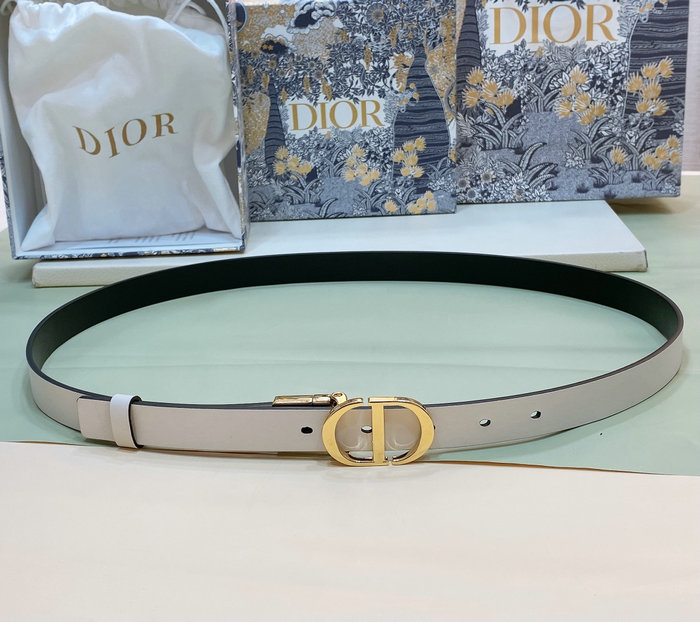 Dior 20mm Belt DB04171