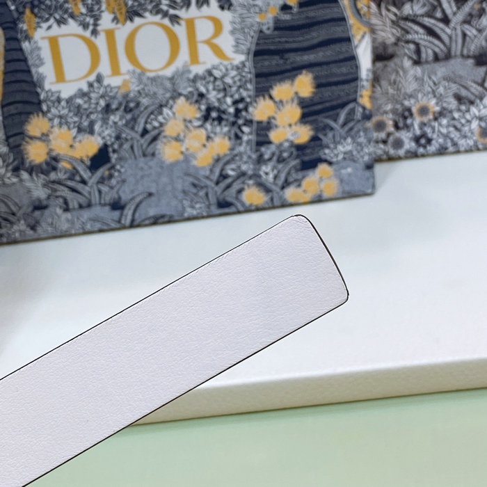 Dior 20mm Belt DB04171