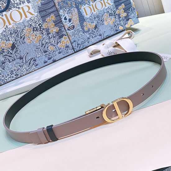 Dior 20mm Belt DB04173