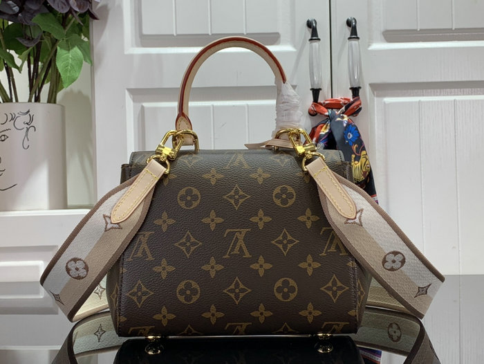 Louis Vuitton Cluny Mini M46055