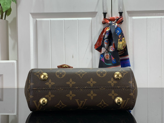 Louis Vuitton Cluny Mini M46055