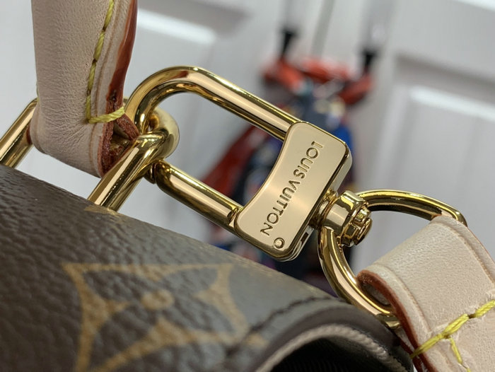 Louis Vuitton Cluny Mini M46055